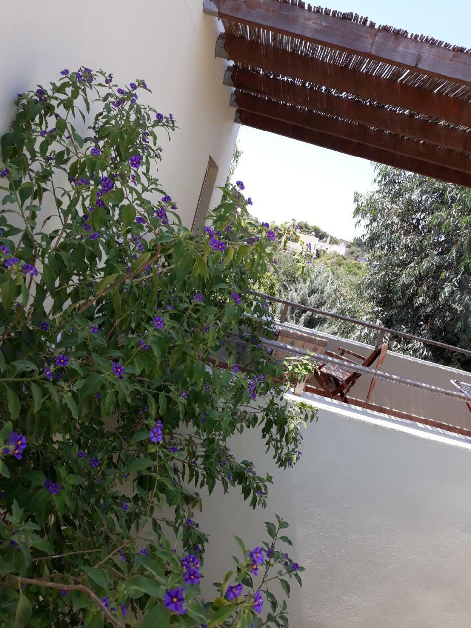 Vilana Studios Kalamos  外观 照片